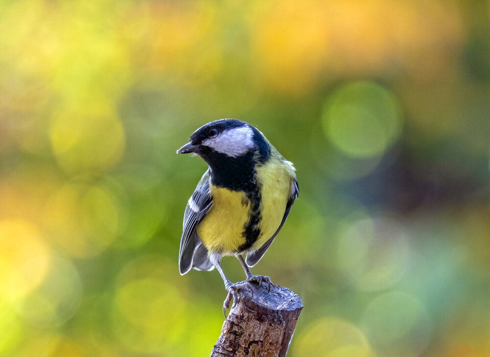 Photograph by Андрей Калинин