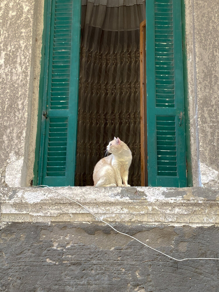 Photograph by Mennatullah Dakhly