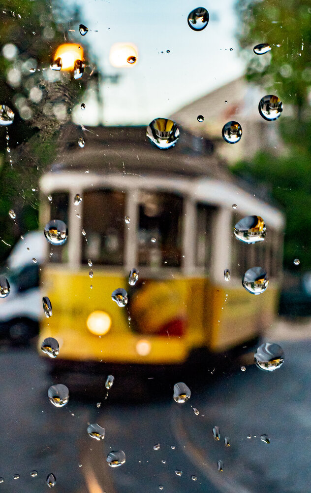 Фотография автора OSCAR SAAVEDRA ROMERO