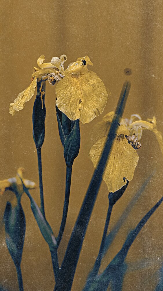 Photograph by Евгения Остроумова