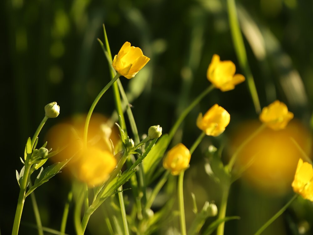 Photograph by Татьяна