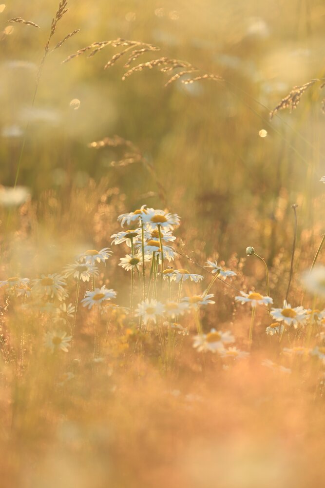 Photograph by Татьяна