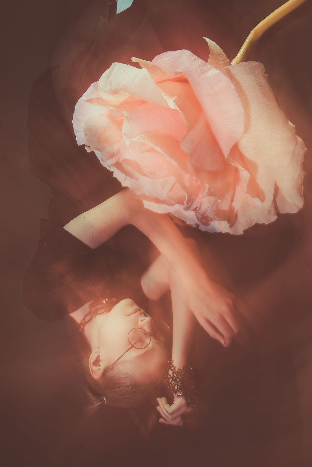 Photo #13799432