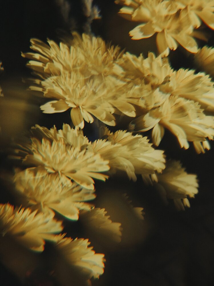 Photograph by Наталия Соболева