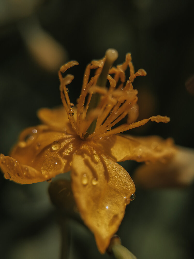 Photograph by Наталия Соболева