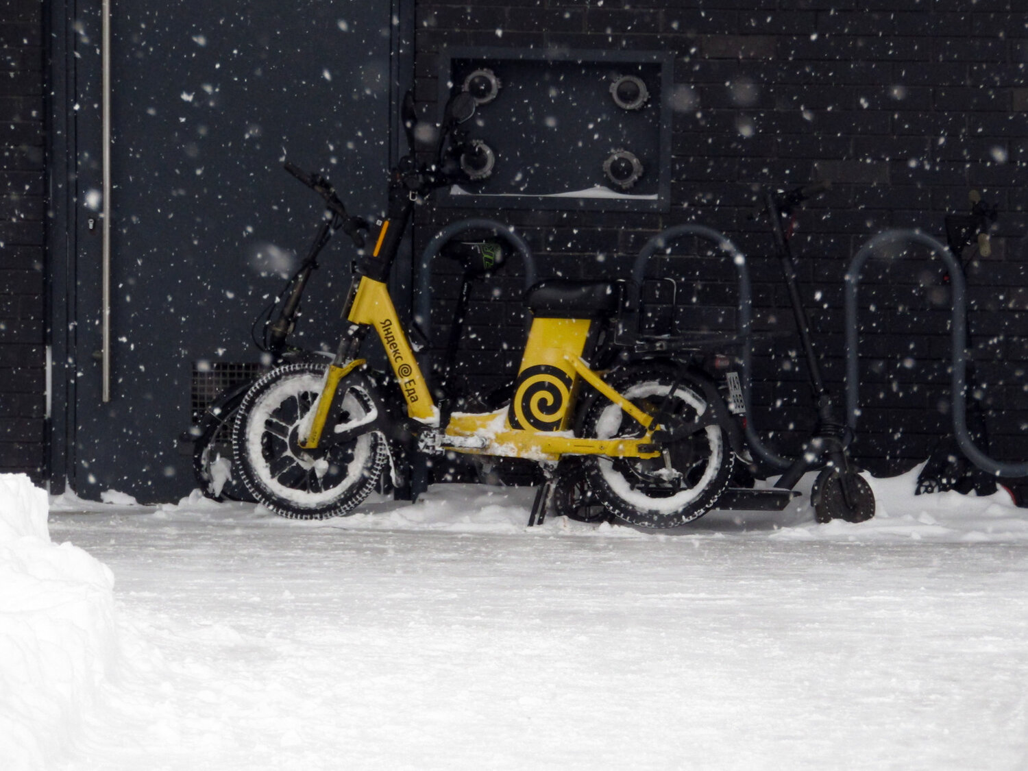 Photo #13799513