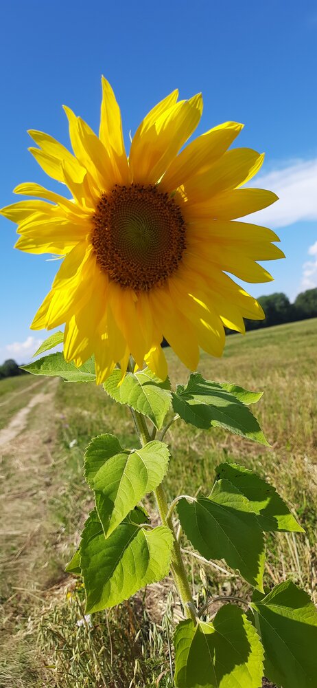 Photograph by Светлана Цапина