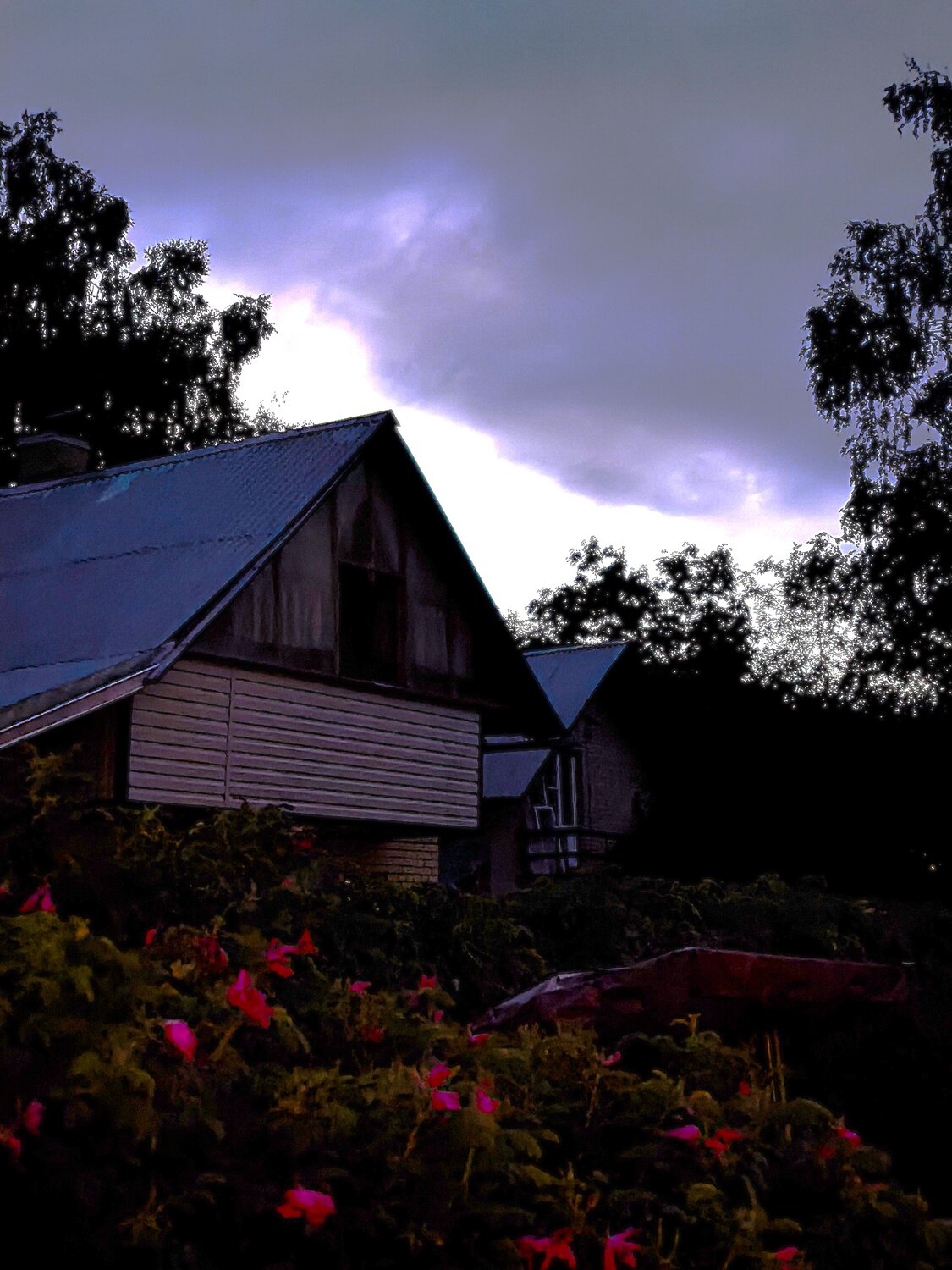 Photo #13799545
