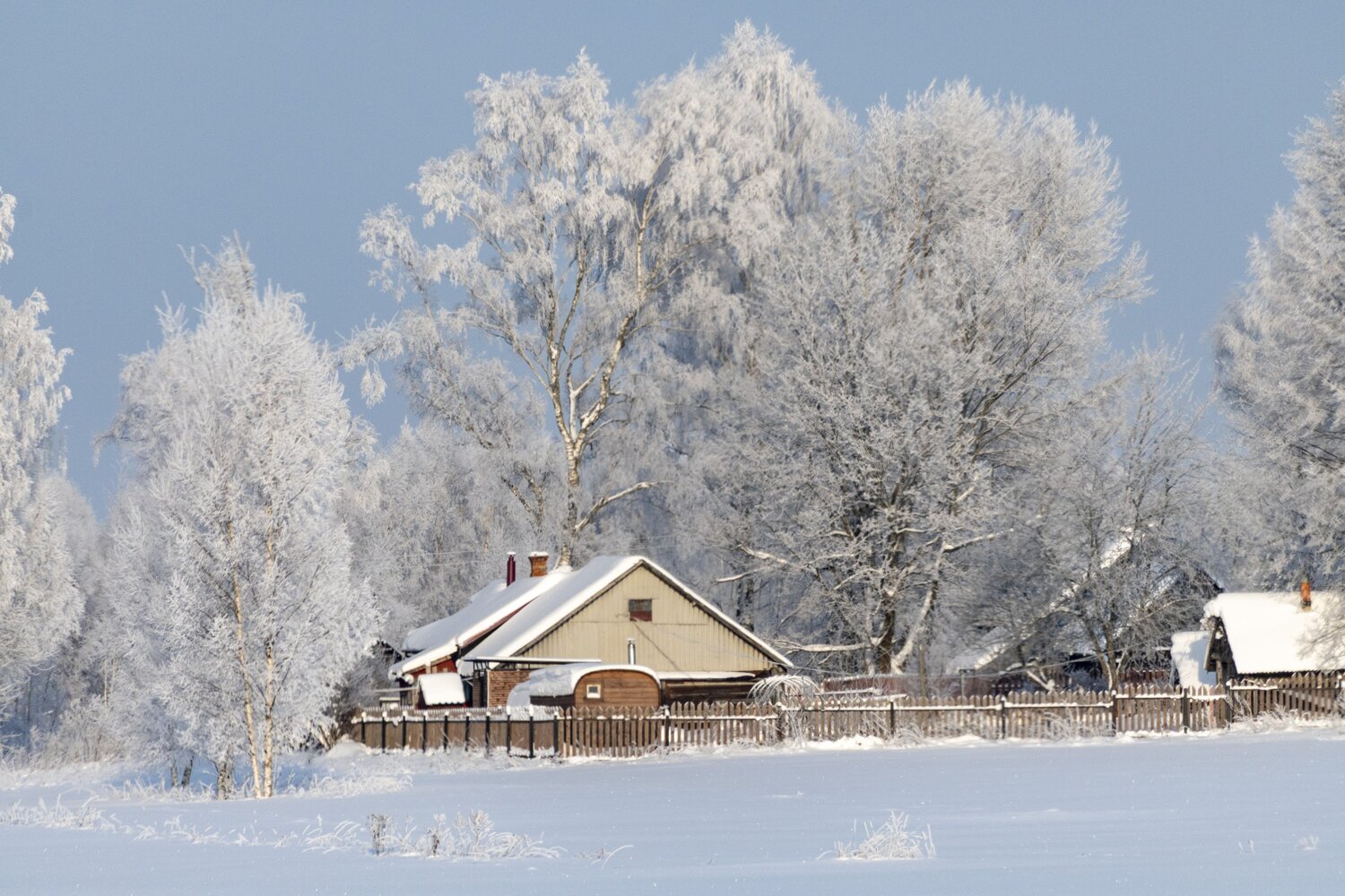 Photo #13799559