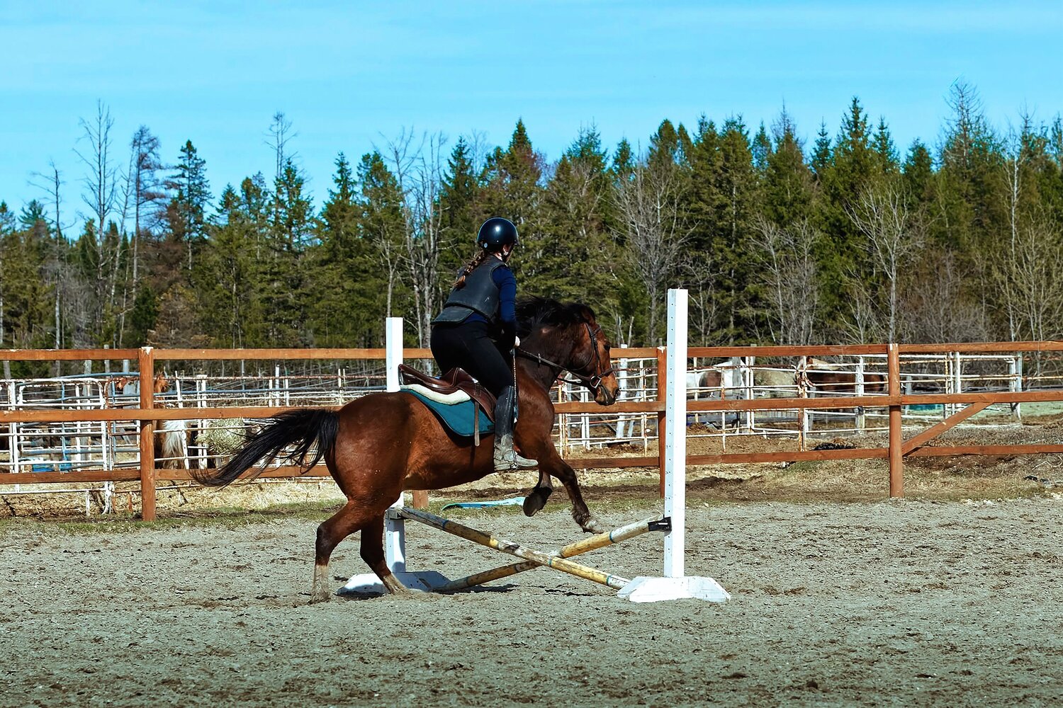 Photo #13799596