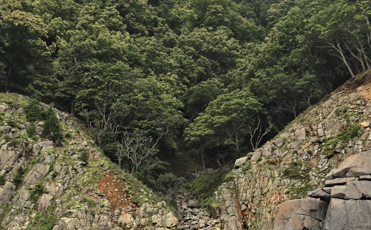 Photo #13799649