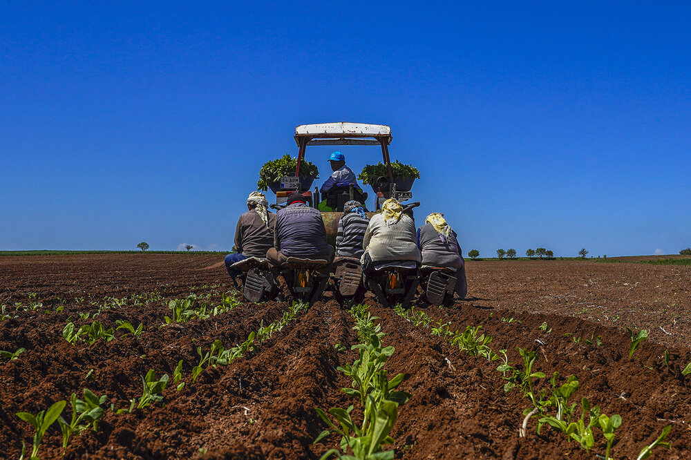 Photograph by Ömer Sarıtas