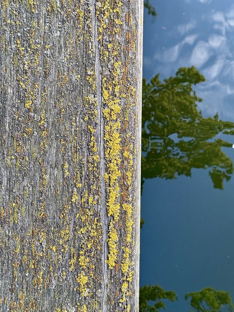 Photograph by Евгения Синиятуллина