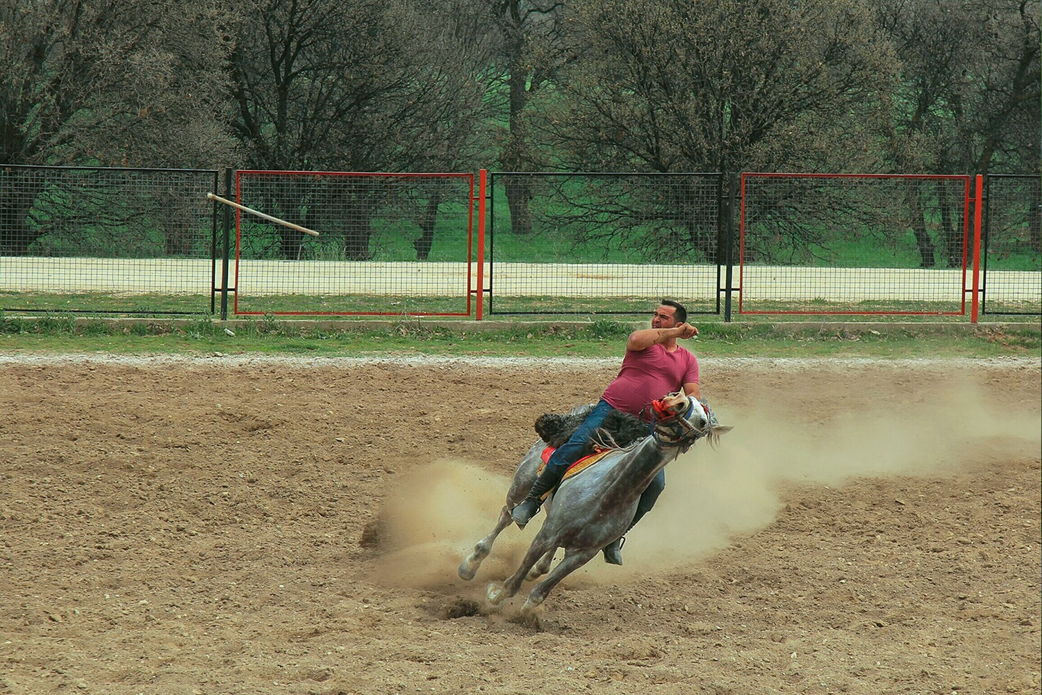Photo #13799688