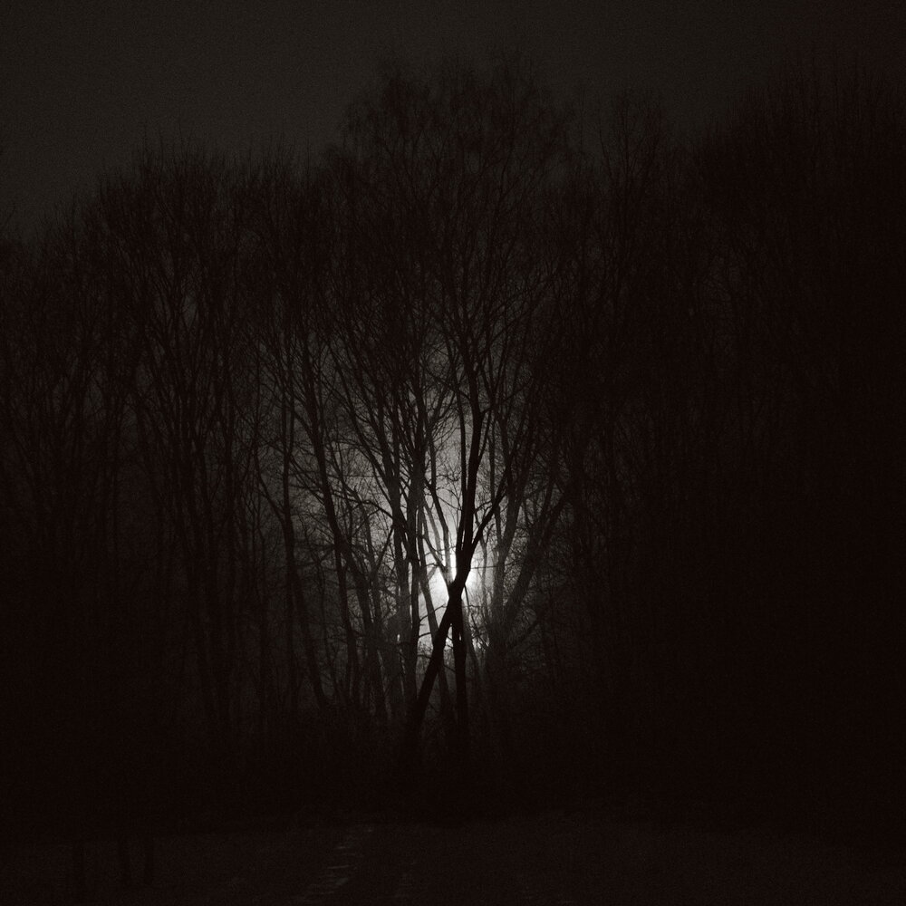 Photograph by Виктор Чернышов