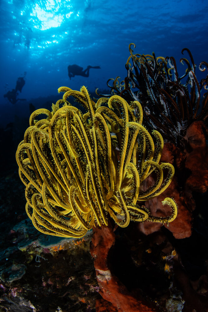 Photograph by Carlos Eduardo Barreto Pinheiro