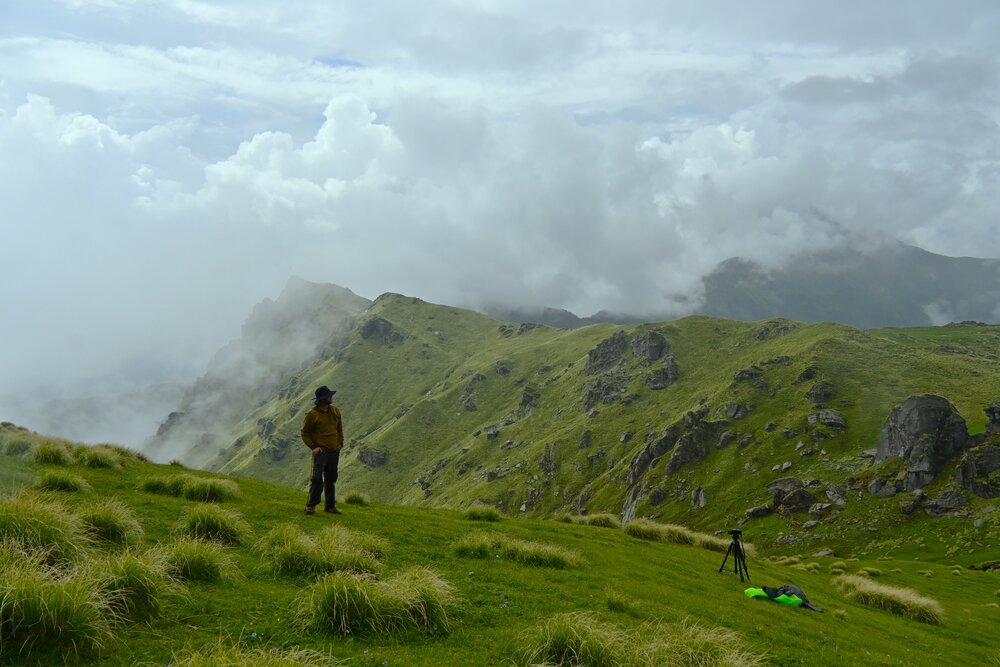 Photo #13799877