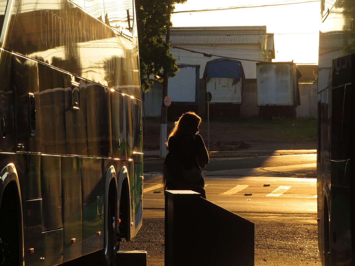 Photo #13799879