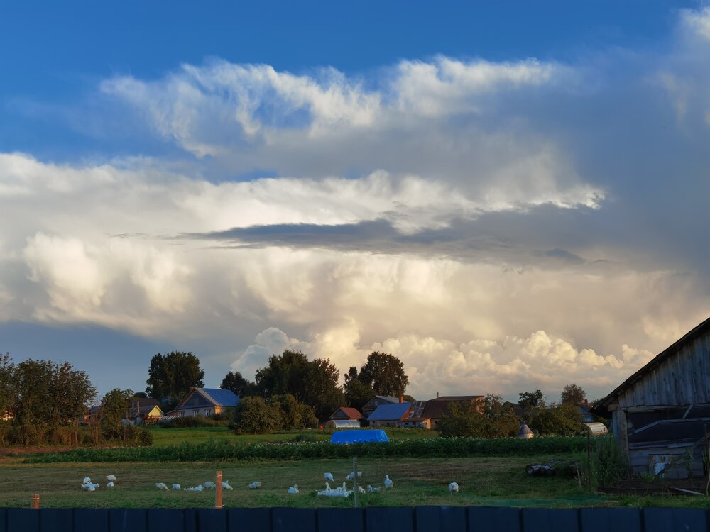 Photograph by Назлыгуль Малашова
