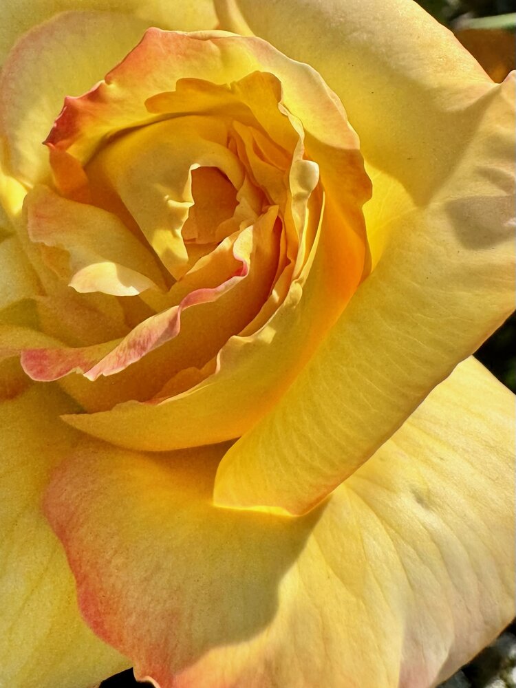 Photograph by Галина Шиманцова