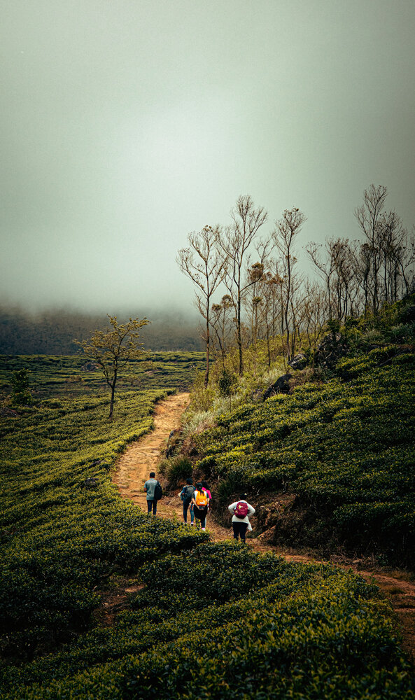 Photograph by K.G.Supun Nayanajith Samaraweera Nayanajith