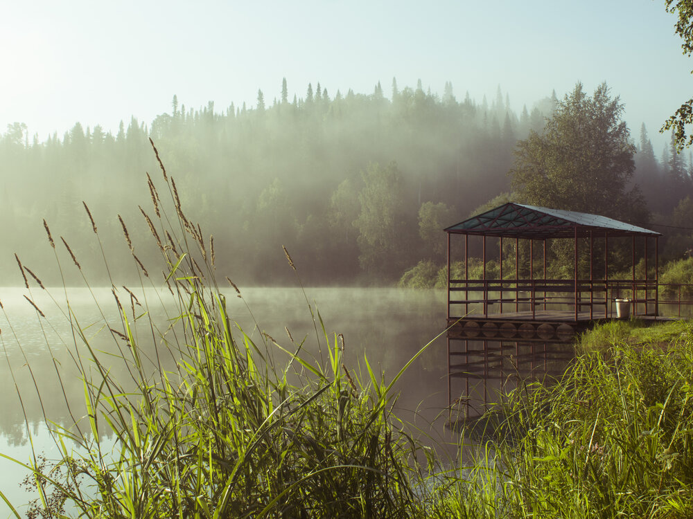 Photo #13799940