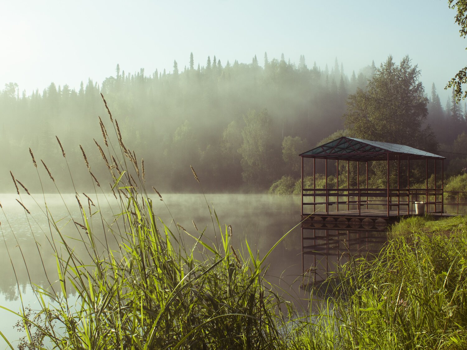 Photo #13799940