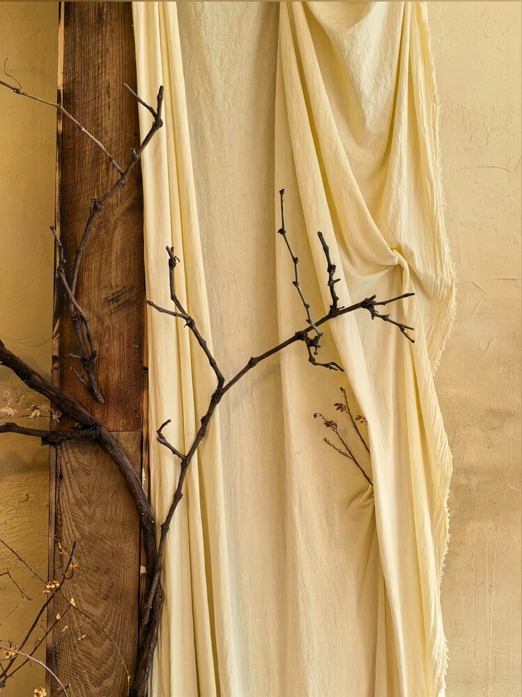 Silent Branches