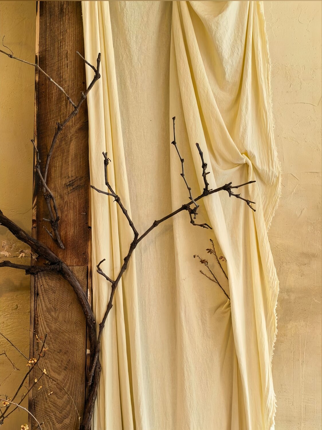Silent Branches