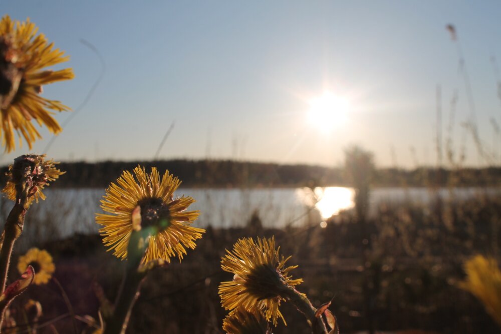 Photograph by Онищук Татьяна