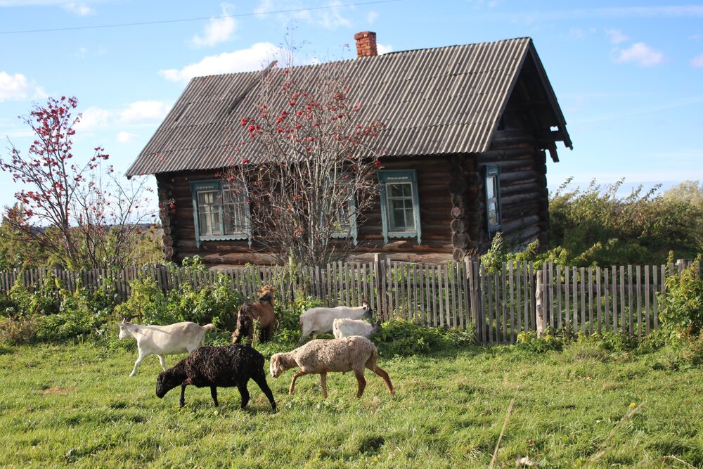 Photograph by Галина Мазур