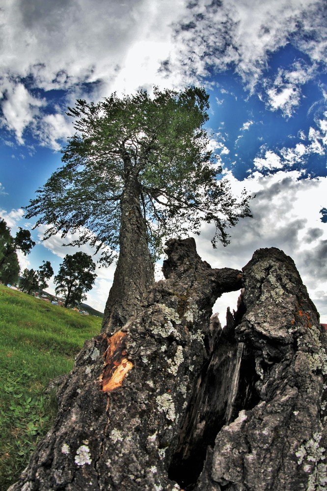 Photograph by Иванов Максим