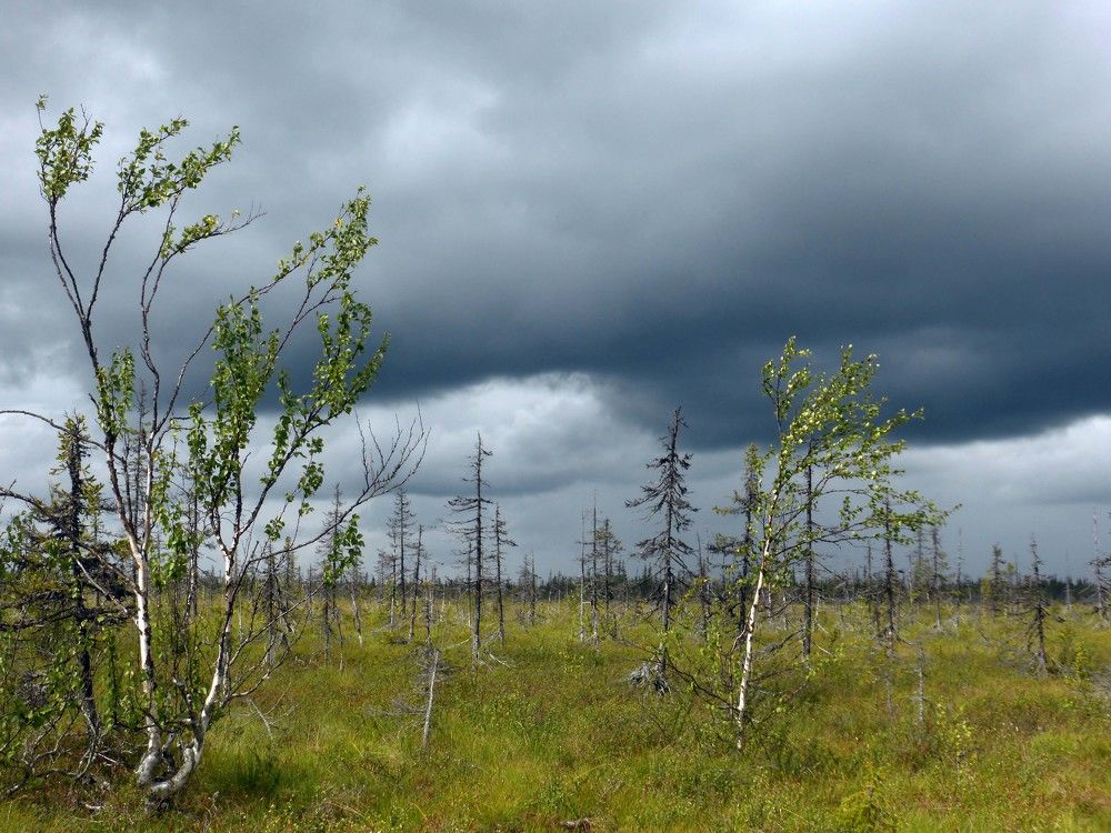5 минут до ливня