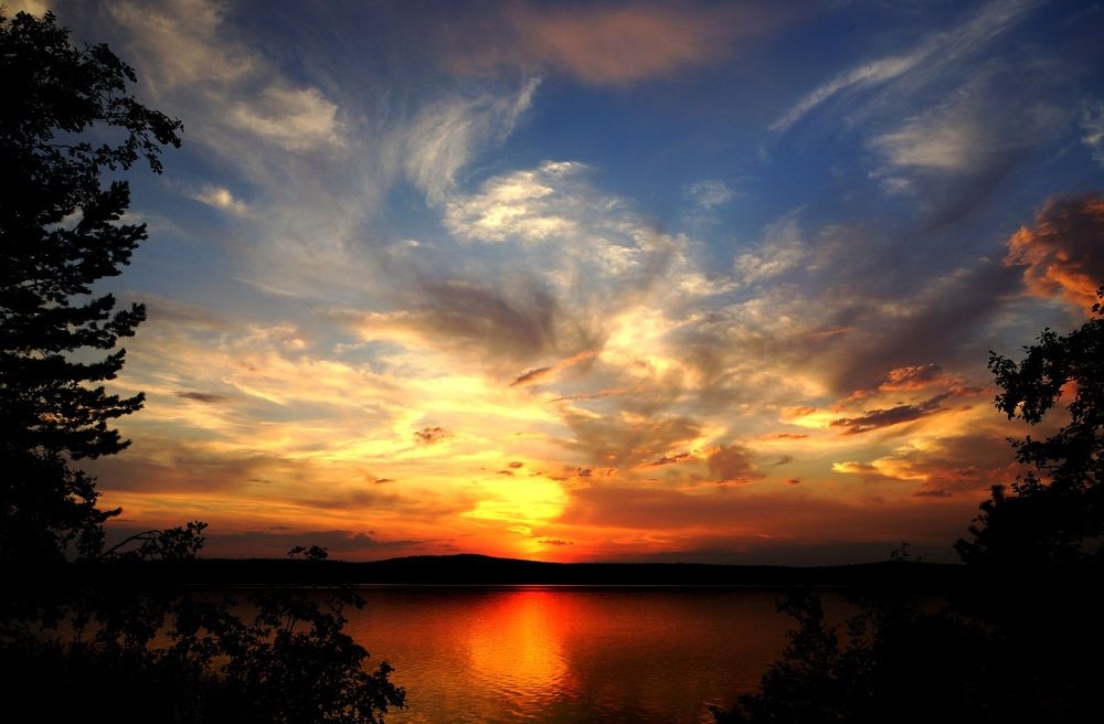 Палитра Творца