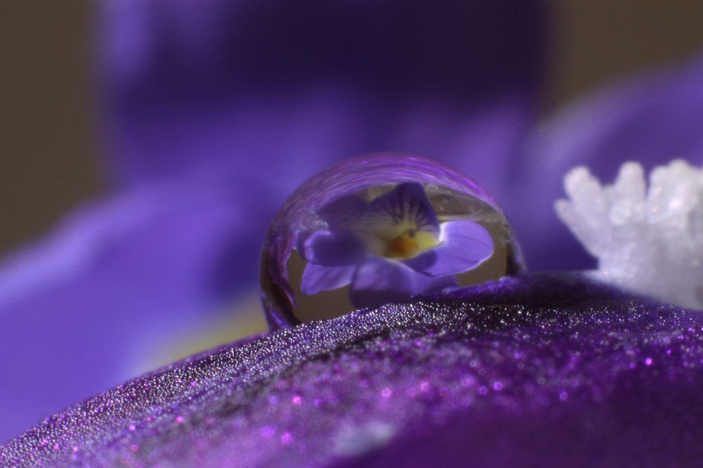 Photograph by Викулов Николай