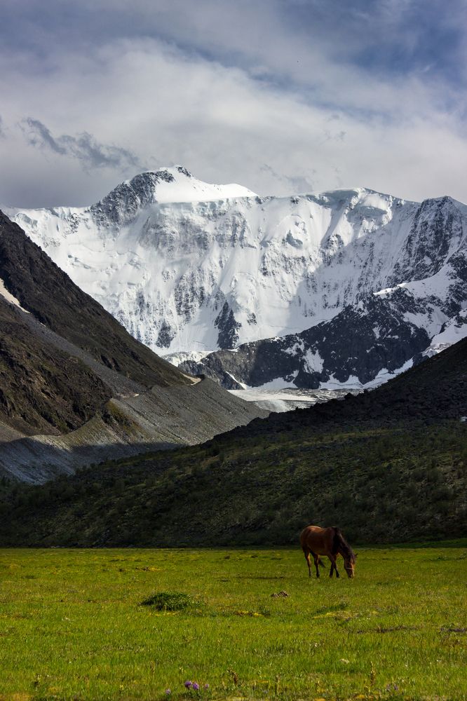 Вертикальная гармония