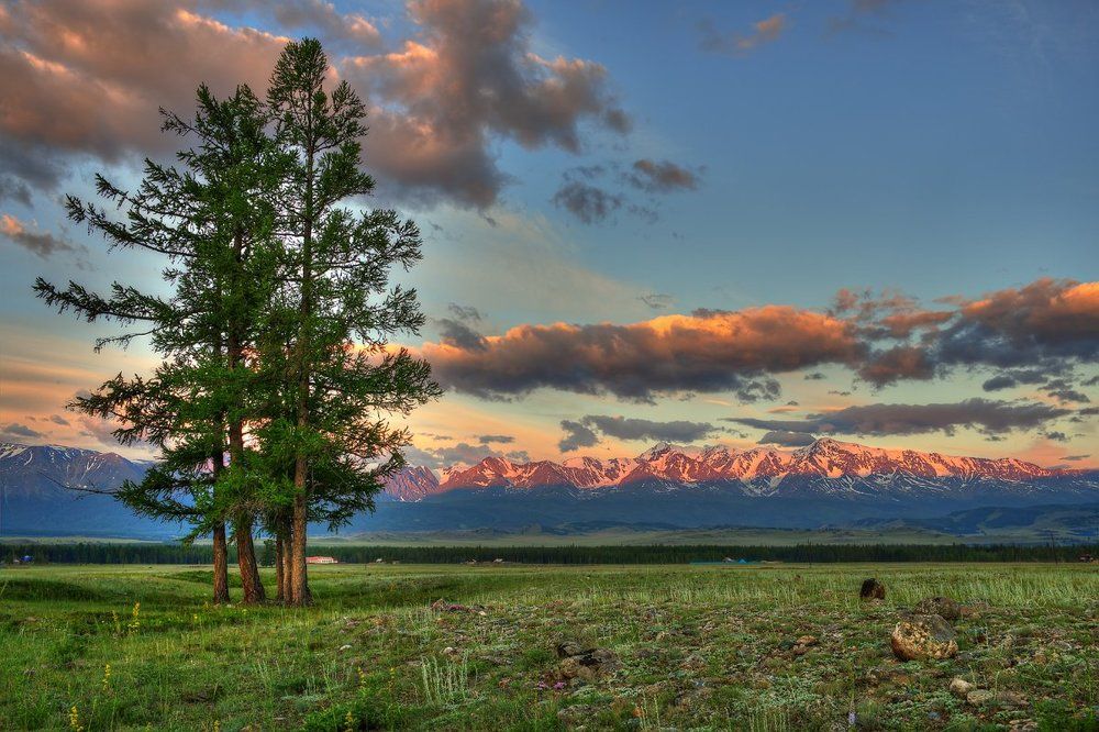 Ласковое солнце