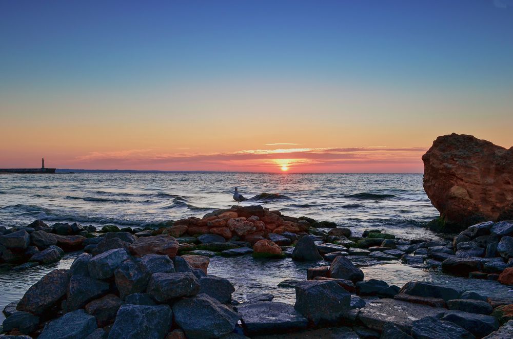 Photograph by Артур