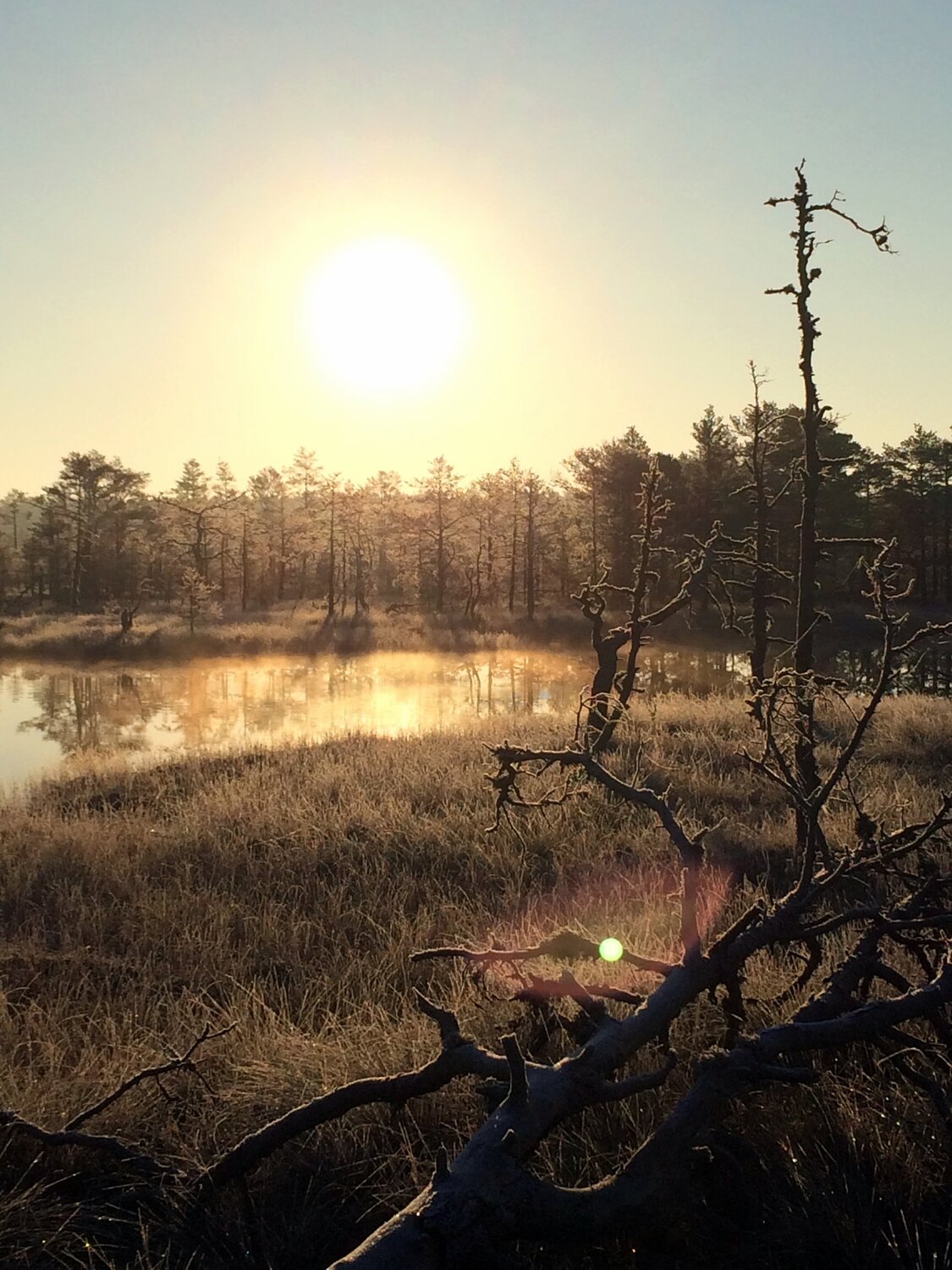 Calmness
