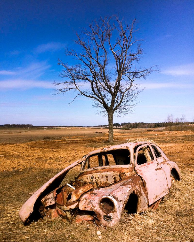 Увядание или жизнь?...