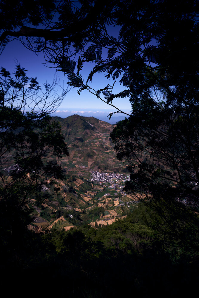 Photo #13800072