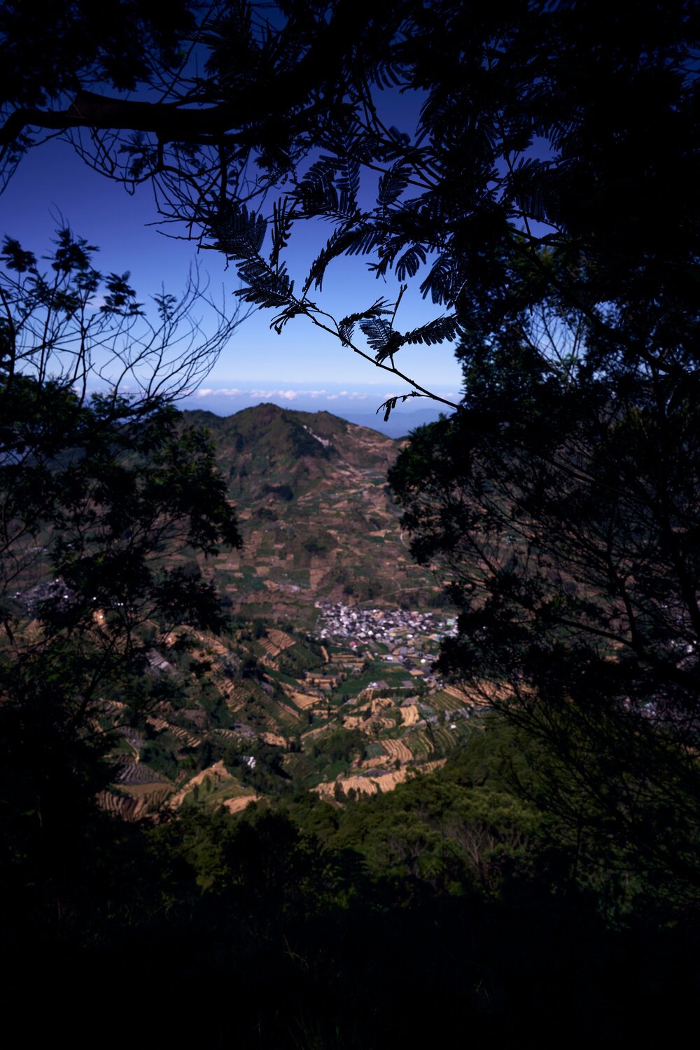 Photo #13800072