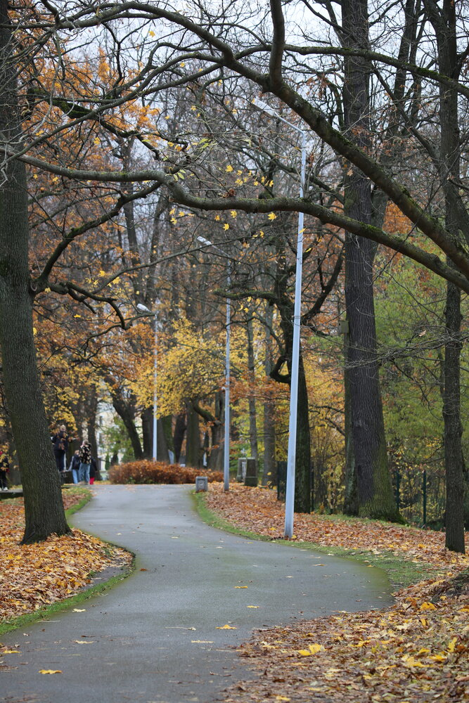 Photograph by Наталья Иванова