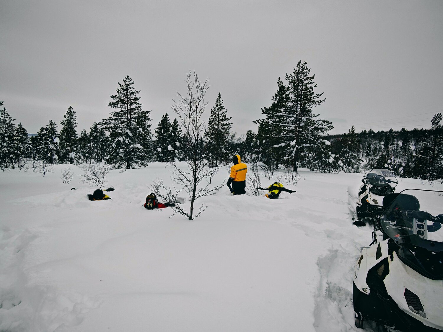 Photo #13800129