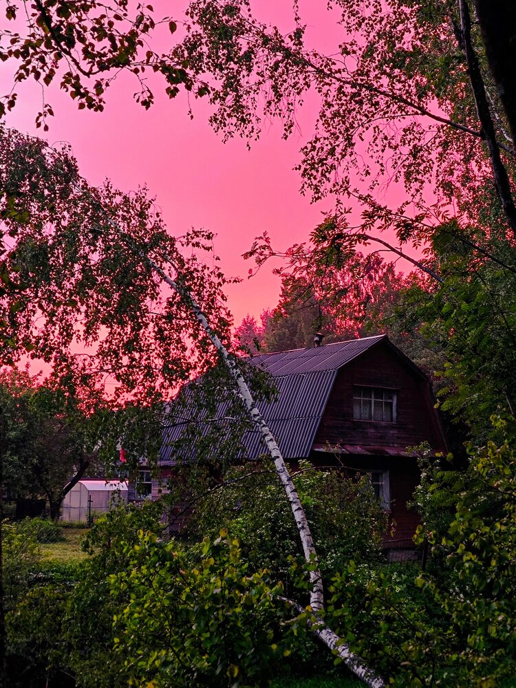 Photograph by Вячеслав Щёголев