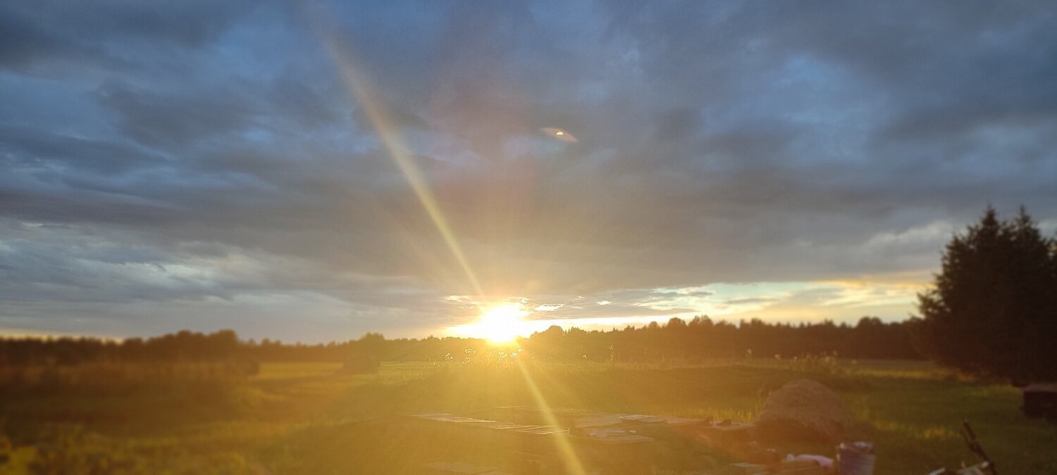 Photo #13800203
