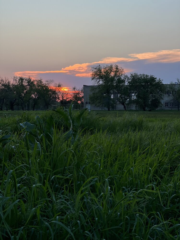 Летний закат