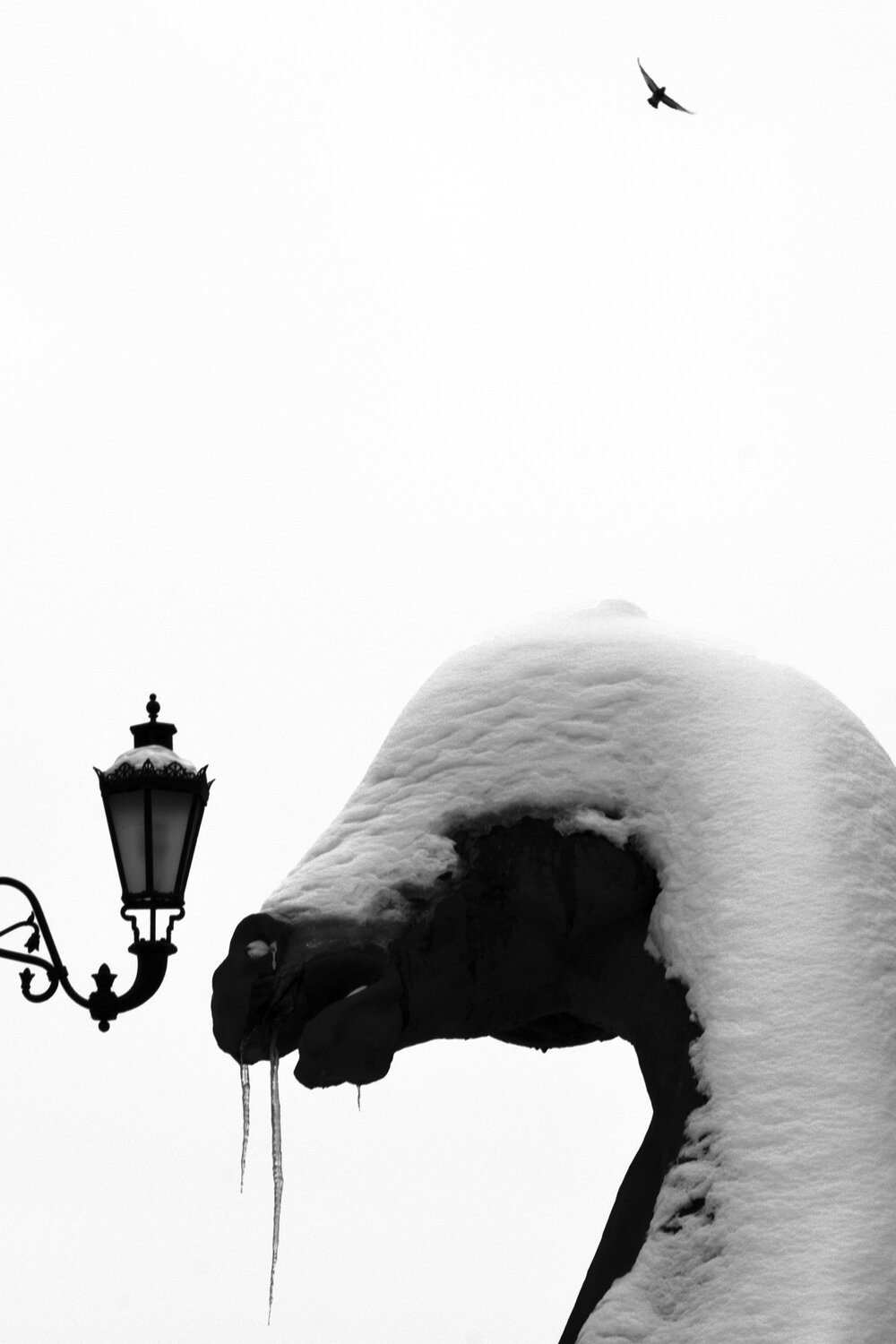 Photo #13800288