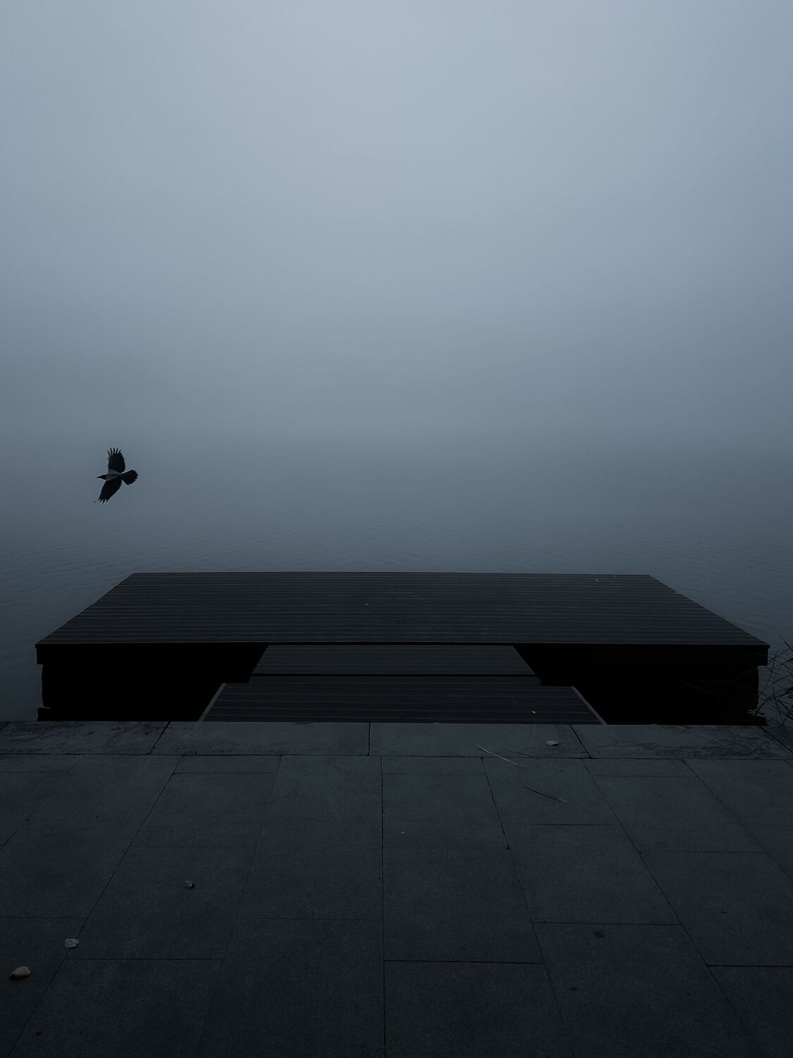 Photo #13800310