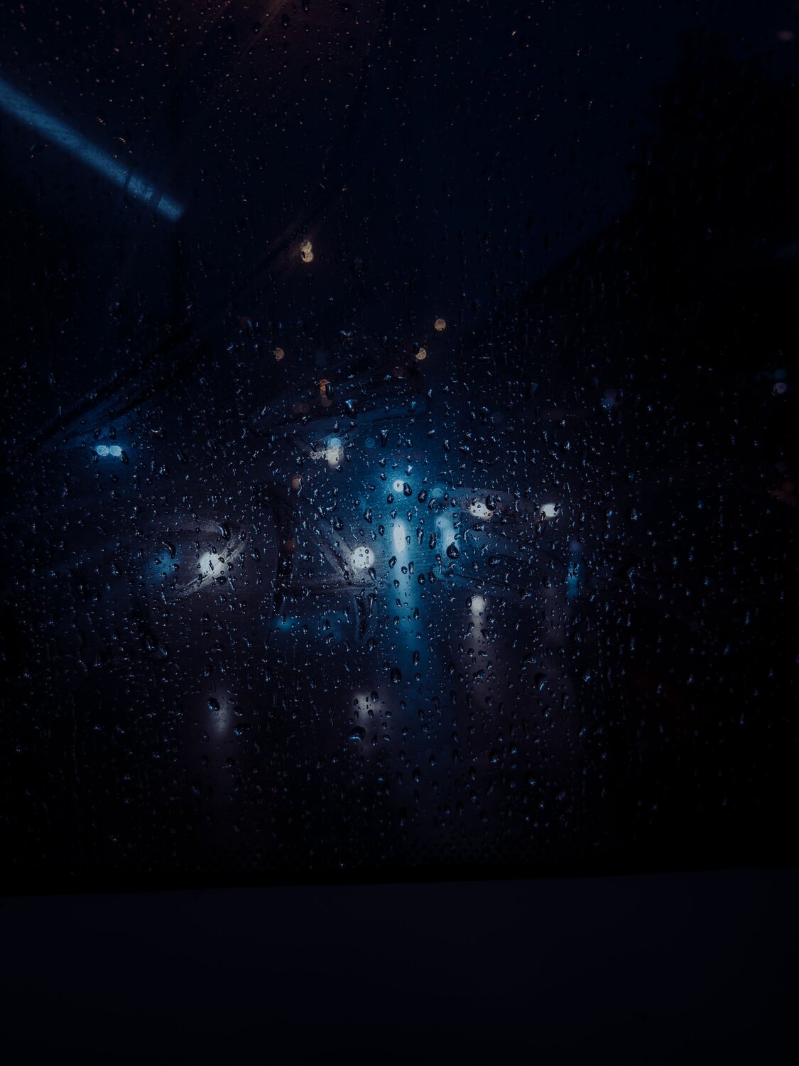 Photo #13800334